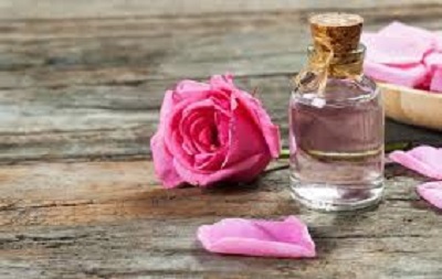 قیمت گلاب خانگی ۱۴۰۲